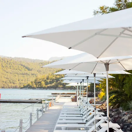 Il Riccio House Гёльтюрбюку