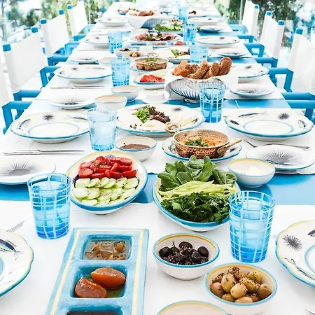 Il Riccio House מלון
