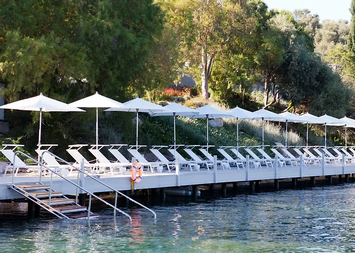 Hotel Il Riccio House 4*