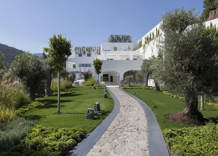 מלון Il Riccio House גולטורקבוקו