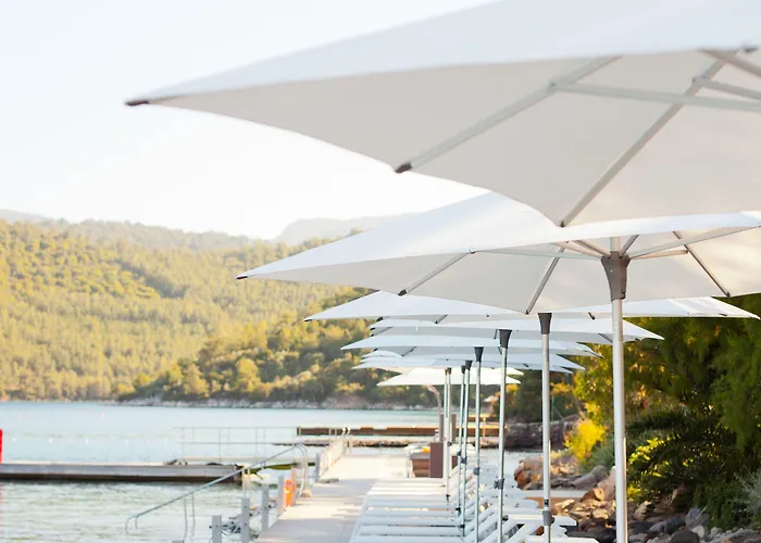 Il Riccio House גולטורקבוקו