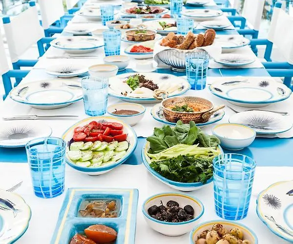 Il Riccio House מלון