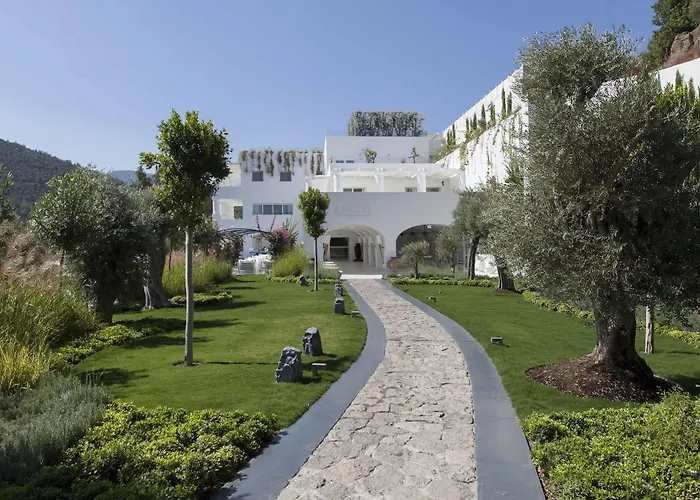 מלון Il Riccio House גולטורקבוקו